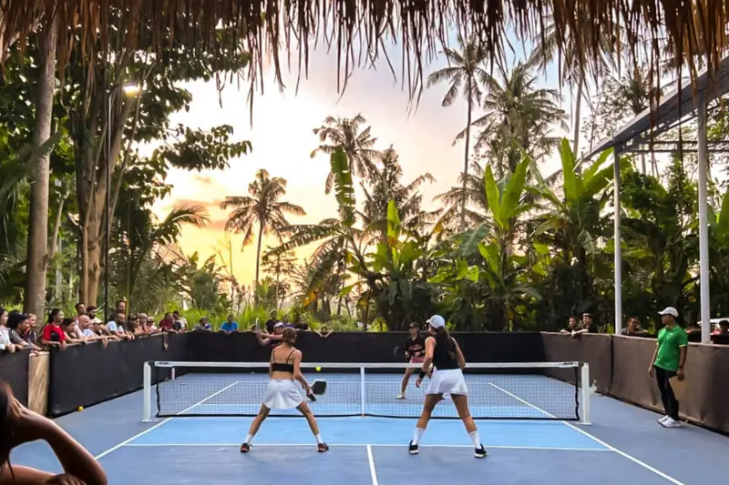 Golden hour light through palm trees over the courts